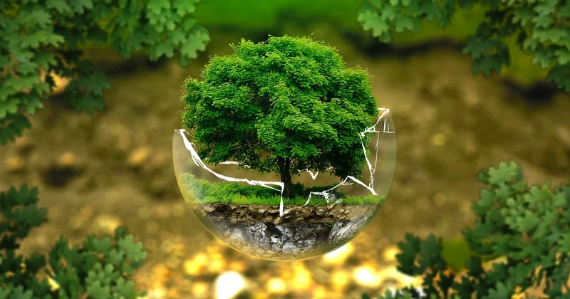 Comment repérer le vrai label du greenwashing
