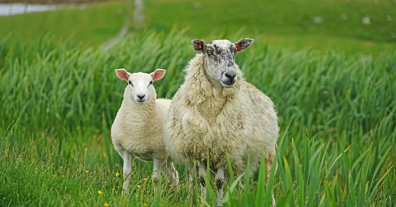 Un itinéraire nature concret sur 10 jours