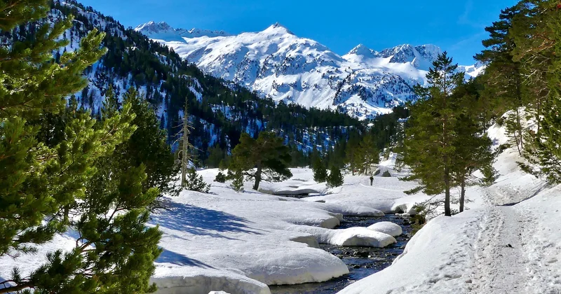 Raquettes, ski de fond et faune : la Laponie qui ne fait pas de bruit